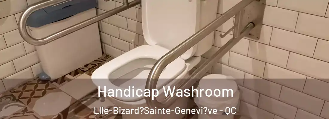  Handicap Washroom LIle-Bizard?Sainte-Genevi?ve - QC