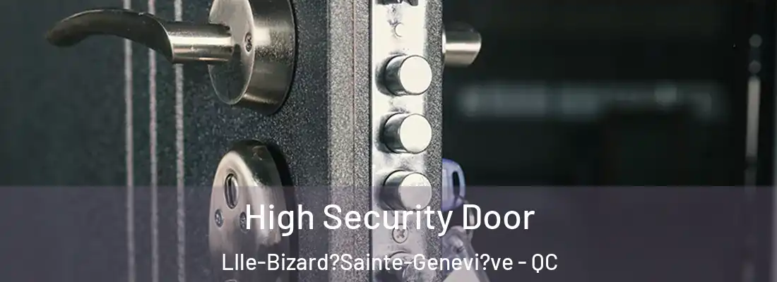  High Security Door LIle-Bizard?Sainte-Genevi?ve - QC