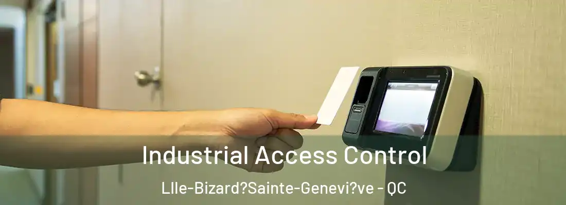 Industrial Access Control LIle-Bizard?Sainte-Genevi?ve - QC