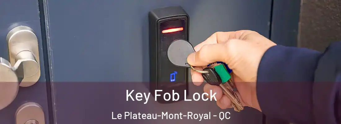  Key Fob Lock Le Plateau-Mont-Royal - QC