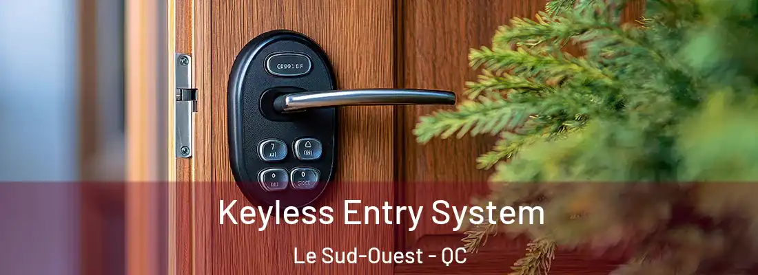  Keyless Entry System Le Sud-Ouest - QC