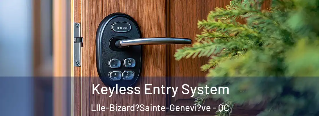  Keyless Entry System LIle-Bizard?Sainte-Genevi?ve - QC