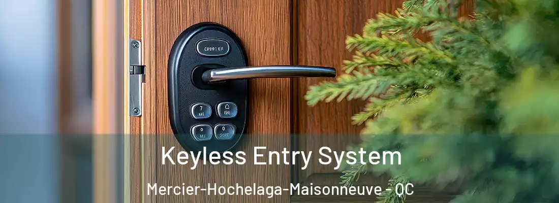  Keyless Entry System Mercier-Hochelaga-Maisonneuve - QC
