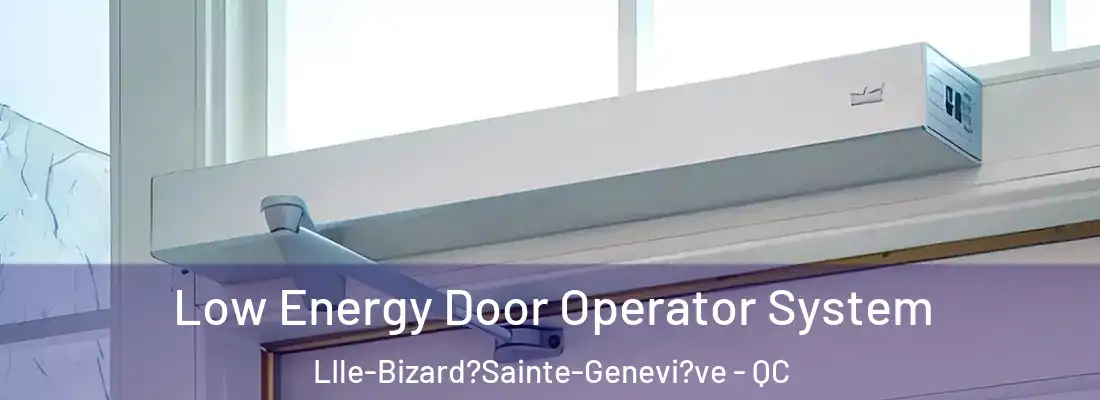  Low Energy Door Operator System LIle-Bizard?Sainte-Genevi?ve - QC