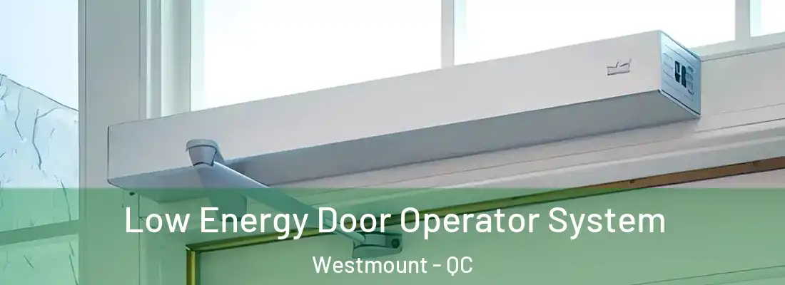  Low Energy Door Operator System Westmount - QC