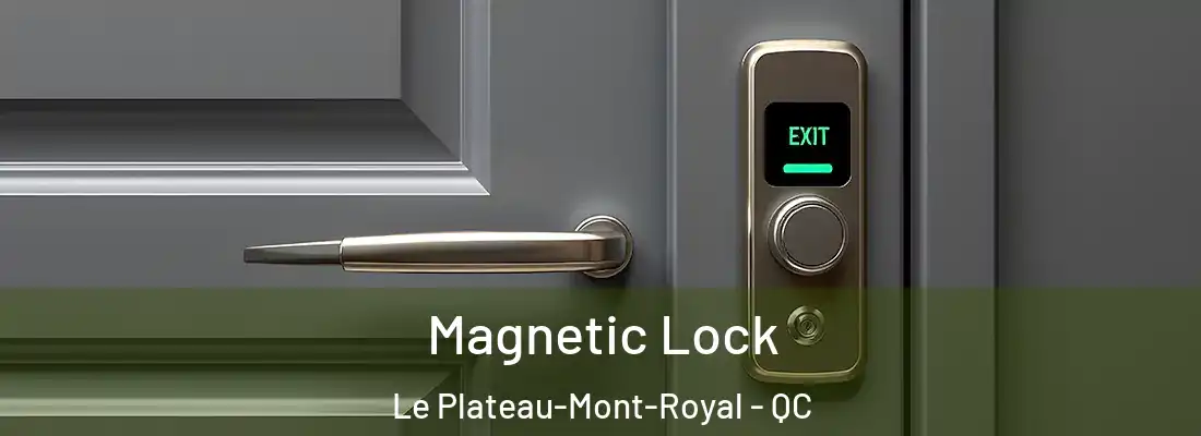  Magnetic Lock Le Plateau-Mont-Royal - QC