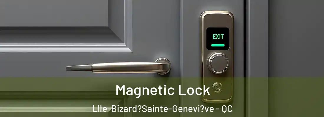  Magnetic Lock LIle-Bizard?Sainte-Genevi?ve - QC