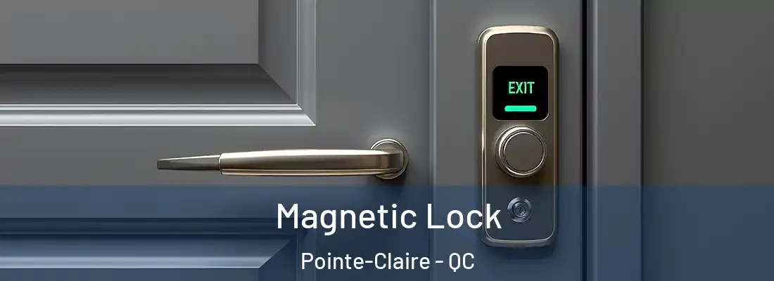  Magnetic Lock Pointe-Claire - QC