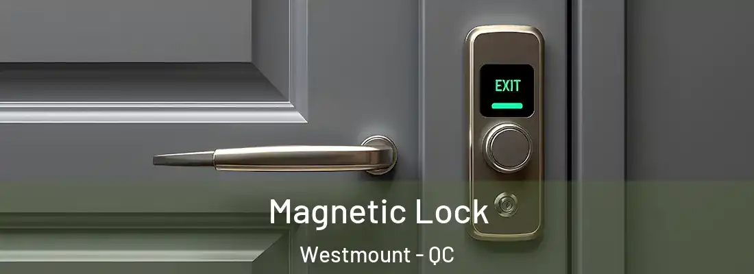  Magnetic Lock Westmount - QC