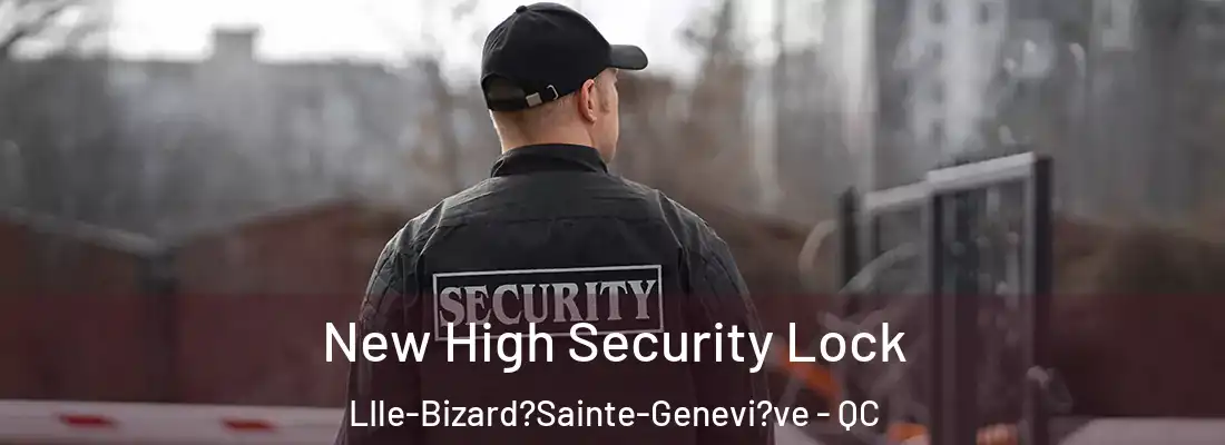  New High Security Lock LIle-Bizard?Sainte-Genevi?ve - QC