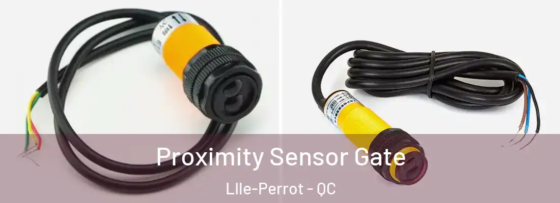  Proximity Sensor Gate LIle-Perrot - QC