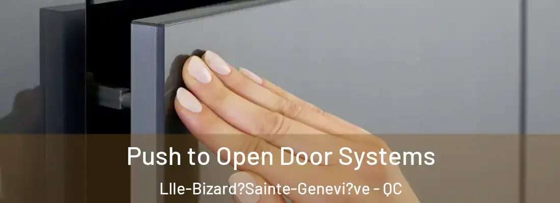  Push to Open Door Systems LIle-Bizard?Sainte-Genevi?ve - QC