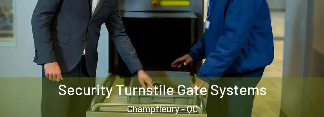  Security Turnstile Gate Systems Champfleury - QC