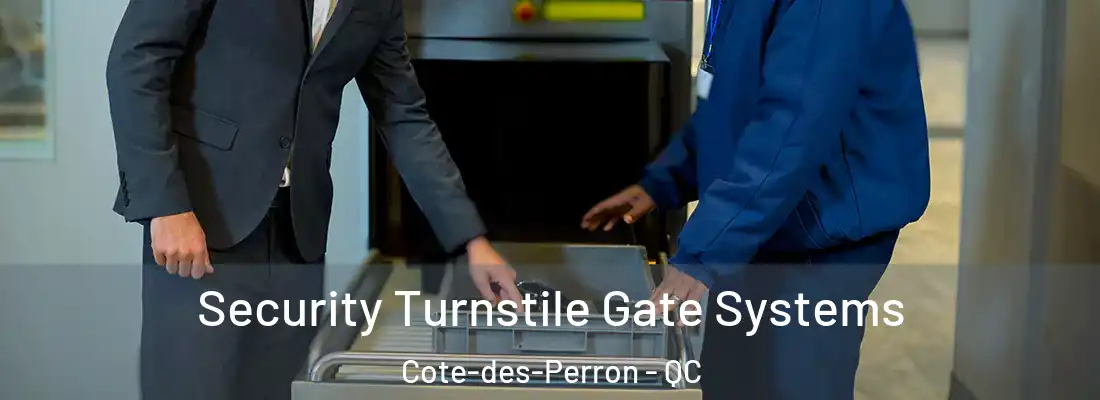  Security Turnstile Gate Systems Cote-des-Perron - QC