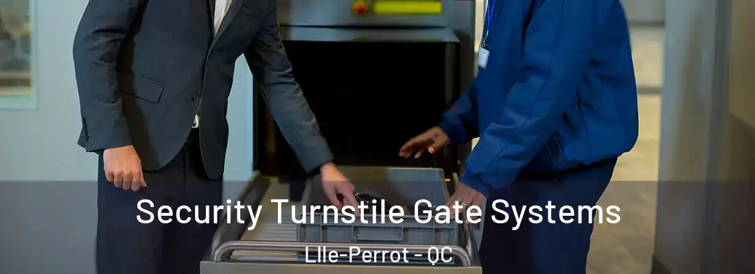  Security Turnstile Gate Systems LIle-Perrot - QC