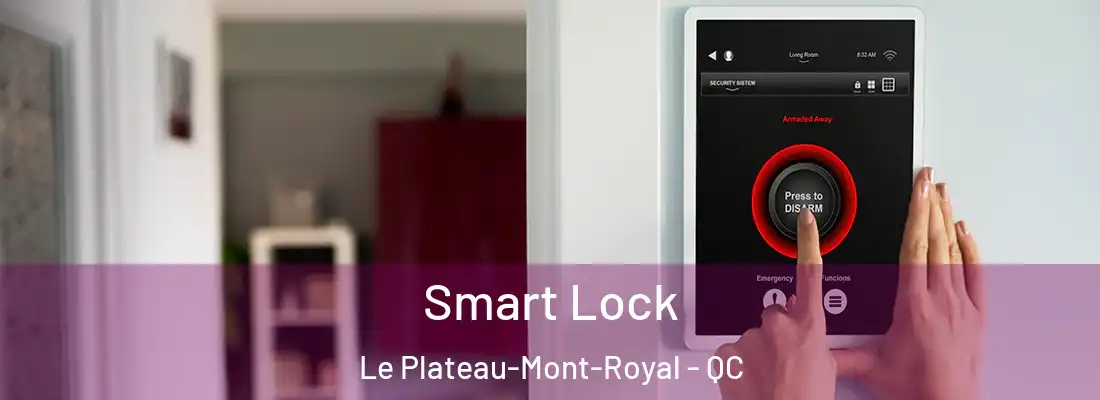  Smart Lock Le Plateau-Mont-Royal - QC