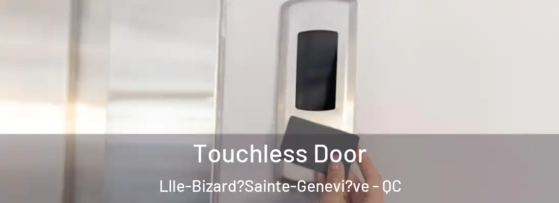  Touchless Door LIle-Bizard?Sainte-Genevi?ve - QC