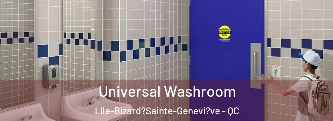  Universal Washroom LIle-Bizard?Sainte-Genevi?ve - QC