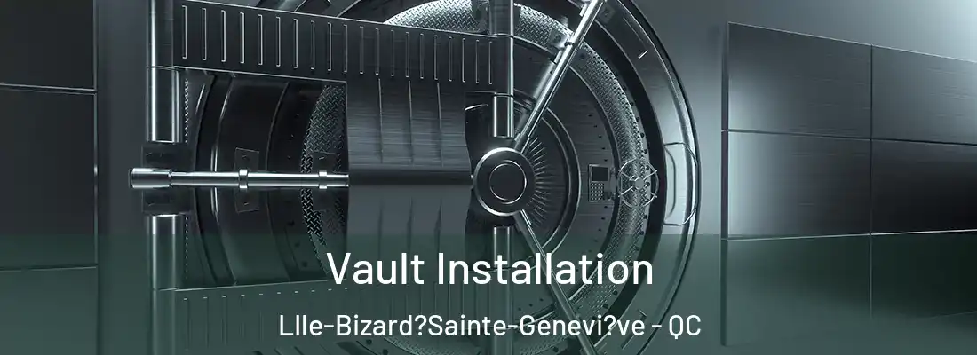  Vault Installation LIle-Bizard?Sainte-Genevi?ve - QC