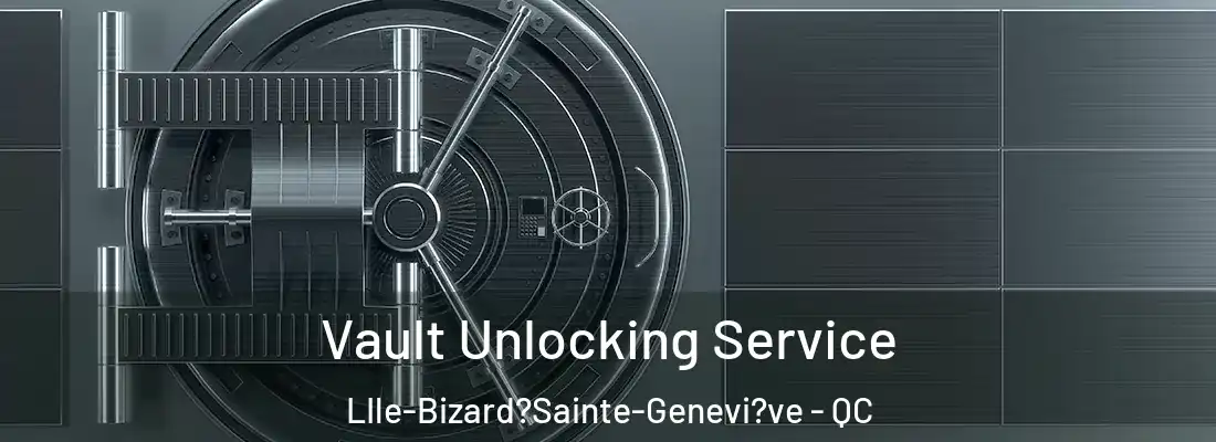  Vault Unlocking Service LIle-Bizard?Sainte-Genevi?ve - QC